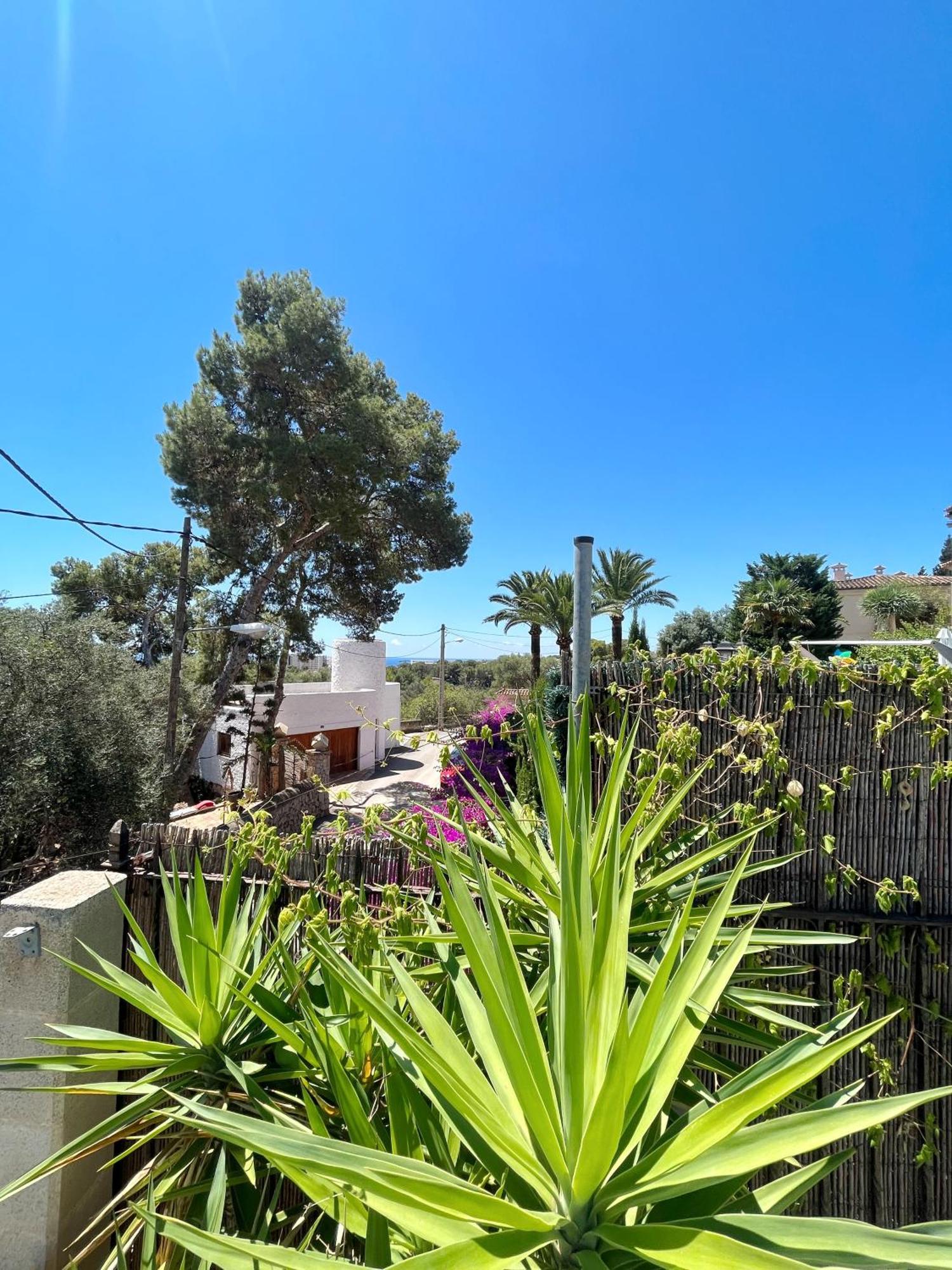 Ferienhaus Casa Limon *